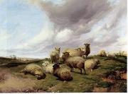 unknow artist Sheep 146 oil painting picture wholesale